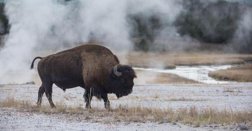 447777018 372662959160095 3932427827053694342 n.jpg?stp=c0.5x0.5f dst jpg flffffff p500x261 q75& nc .jpg