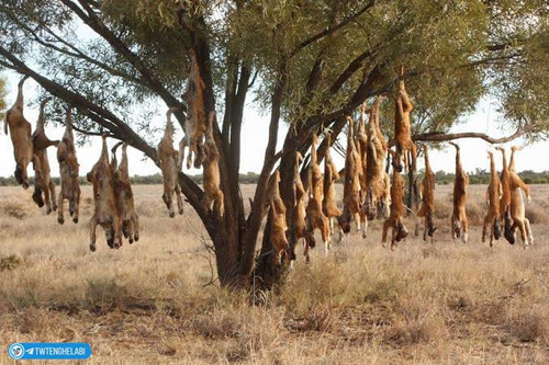 ibv8k DrhLr4kspCVIpaDJUeQYur0QOQW7BSC 97wJ uHgk1Dy3S0nyUXJN2QUyAatJRgnThiziqClkQsq2ZF08TjKPz6lWflTOH.jpg