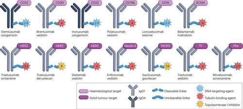GPKhzRabAAE 7QQ?format=jpg.jpg