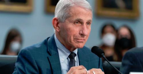 3126326929805056904?url=https%3A%2F%2Fsinjali.com%2Fwp content%2Fuploads%2F2024%2F06%2F4L 600x360 1..jpg