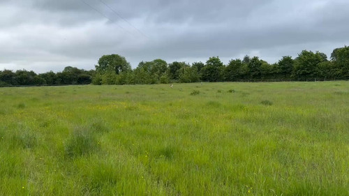 V bcYPAunKj0N0ZW.jpg