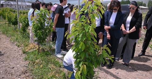 16410860056154792363?url=https%3A%2F%2Fwww.aravot.am%2Fwp content%2Fuploads%2F2024%2F06%2FARM 3053.j.jpg