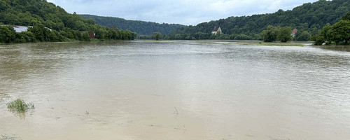 flut.jpg