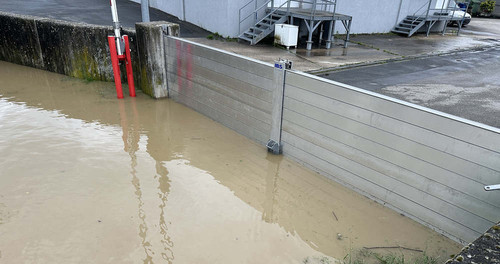 flut1.jpg