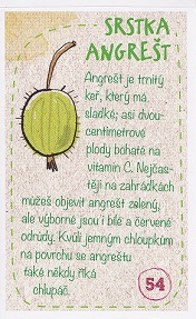 ALBERT Prázdniny v jednom kole 054.jpg