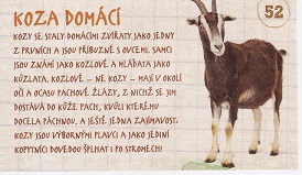 ALBERT Prázdniny v jednom kole 052.jpg