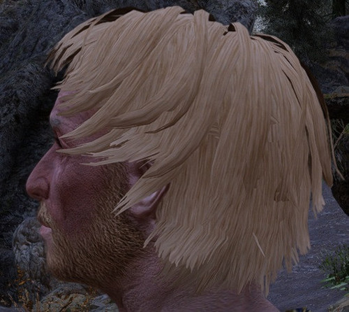 SaltNWind.jpg