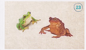 ALBERT Prázdniny v jednom kole 023.jpg