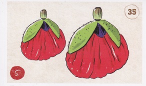 ALBERT Prázdniny v jednom kole 035.jpg