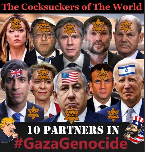 cocks of the world.jpg