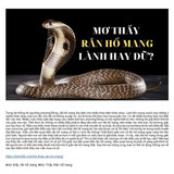 mo thay ran ho mang