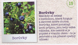 ALBERT Prázdniny v jednom kole 015.jpg