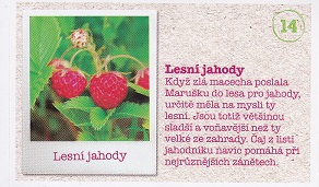 ALBERT Prázdniny v jednom kole 014.jpg