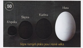 ALBERT Prázdniny v jednom kole 050.jpg