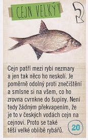 ALBERT Prázdniny v jednom kole 020.jpg