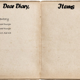 Diary Items