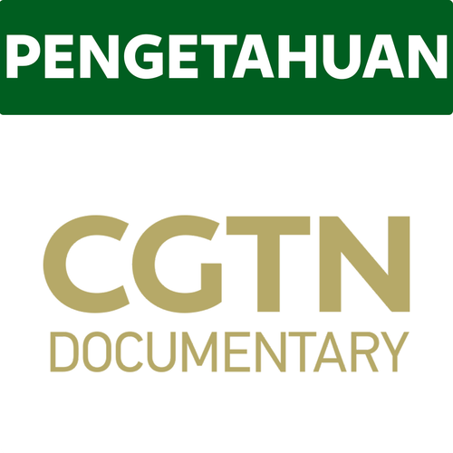 CGTN Documentary.png