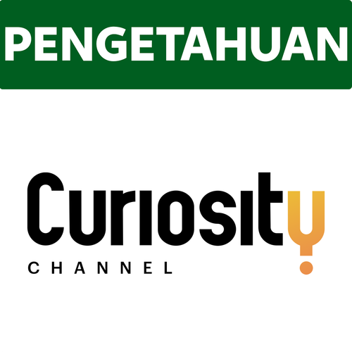 Curiosity Channel