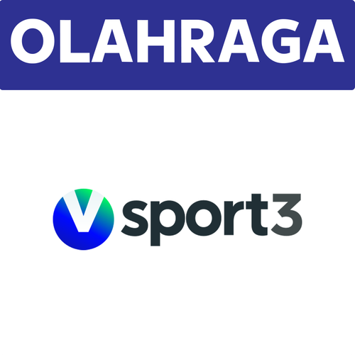 V Sport 3.png