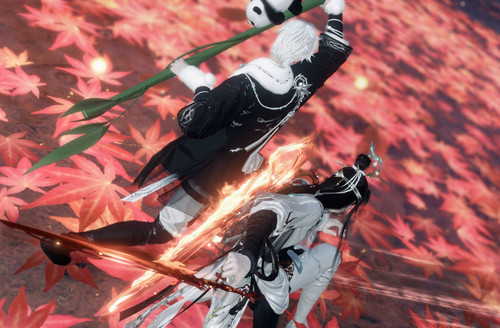 IMG 20240603 101710.jpg