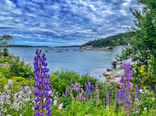 445014090 10160620882258823 9118313083749731540 n.jpg