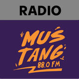 Mustang FM