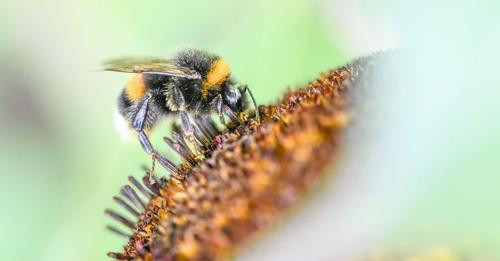 2083201529999938187?url=https%3A%2F%2Fmim.p7s1.io%2Fpis%2Fld%2Fef8bzChLCVyZ c1vEwXZAanB DJ78rnq2V2gR.jpg