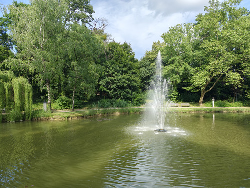 IMG 20240602 170214787 HDR.jpg