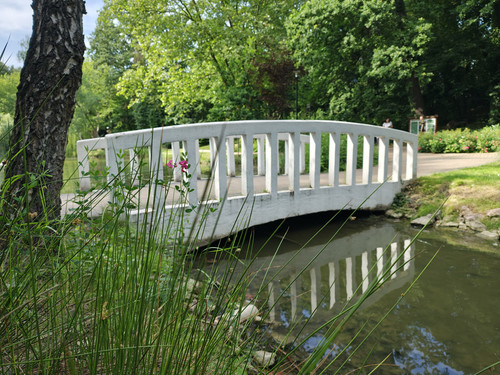 IMG 20240602 170341073 HDR.jpg