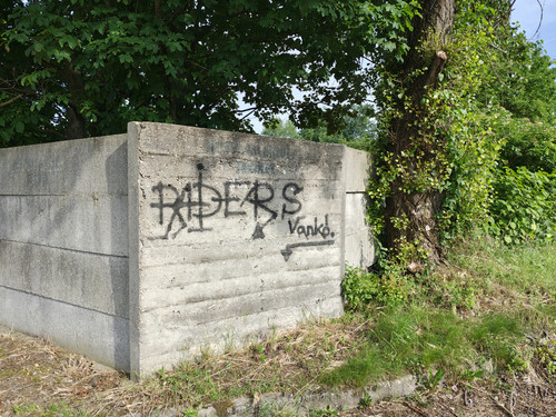 IMG 20240602 171620798 HDR.jpg