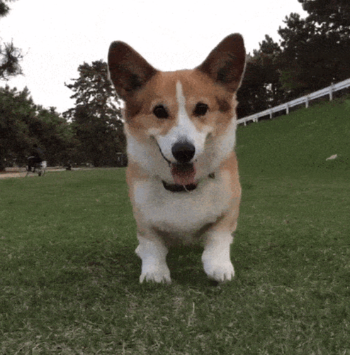 Screenshot 2024 06 04 at 13.18.37.png