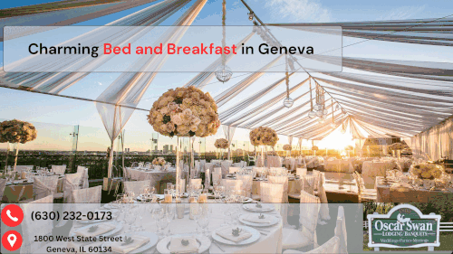 Indulge in Luxury at Oscar Swan Bed and Breakfast in Geneva.gif