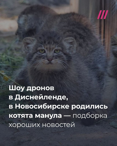 t5fERbZortBP6g51RlZI4WOGxRyhM yQCxUj XohUub6MSA2LtANizqaYk6N3E3FucPU6JrsRoNEeKPvew aRzoF6V u8GyhyD1x.jpg