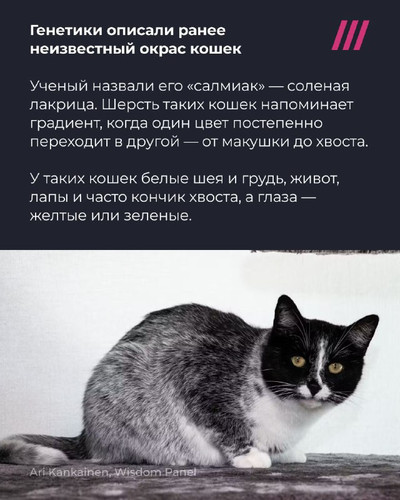 fokhS15ckINSVBINJW2UYdyd5ZyUtP47XMKlFnVhEVjGGbcVSuAl bxjXR75eKBhCjCNCFYOVnJjvLzIMQwvCFFrXX91SzQxZ3Zu.jpg