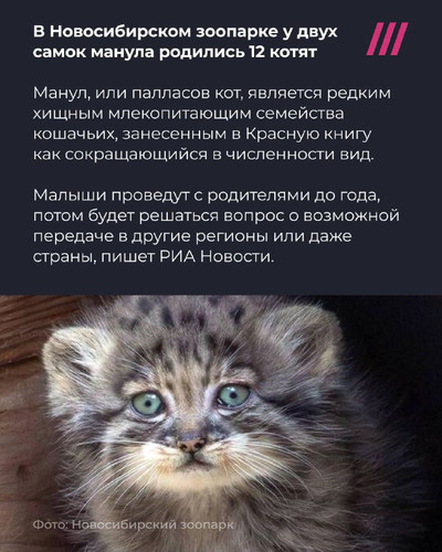 l56OJcRyLAe2H31lgIS83GebHWlwlf43BLcv zUn8auirQ6RY5J6e rd2J I6KAzcr 8Y0gPwrGHNDXBHQpfzvgejw Jup d17e3.jpg