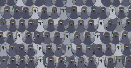 9557260220578377357?url=https%3A%2F%2Fnoa.al%2FnewsImages%2F2024%2F06%2FScreenshot 20240602 222535 C.jpg