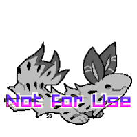 IMG 7260.png