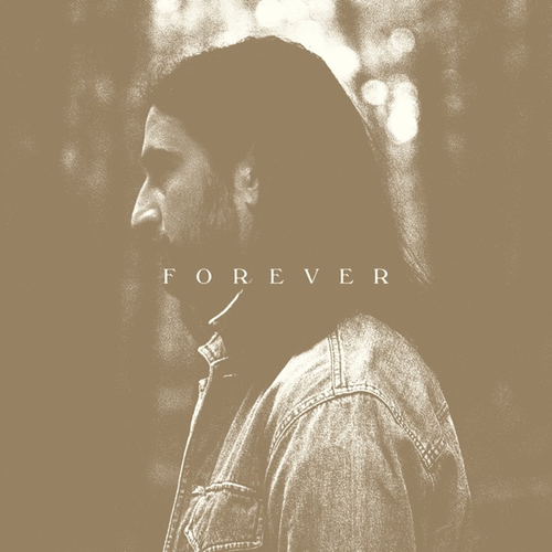Noah Kahan & Post Malone Stick Season (Forever).png