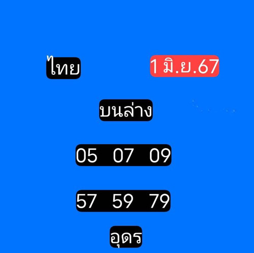 23976.jpg
