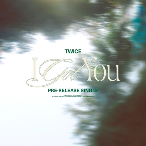 TWICE I GOT YOU Single.png