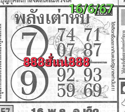 284198.jpg