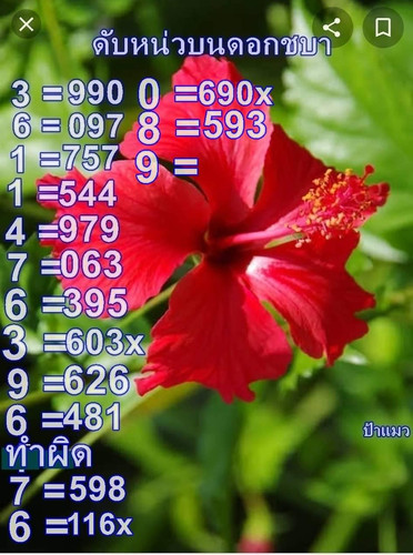 64874.jpg