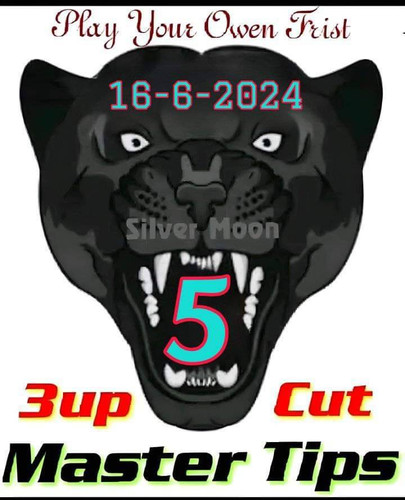 5915665.jpg