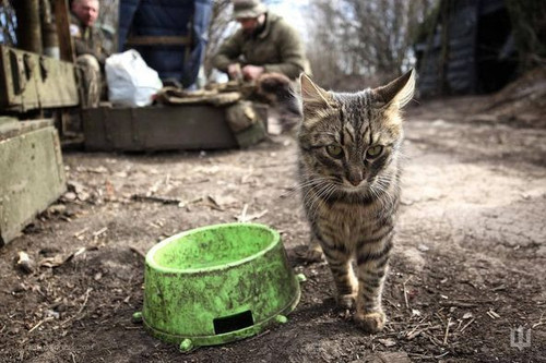 447296030 441901878475053 1084986072368056542 n.jpg?stp=dst jpg p526x395& nc cat=110&ccb=1 7& nc sid.jpg