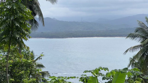 YLWyASHitBd xyH9.jpg