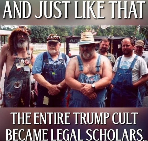 Trump legal scholars.jpg