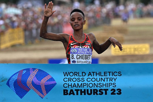 447777280 1022758589503355 921113199903969467 n.jpg?stp=dst jpg p180x540& nc cat=102&ccb=1 7& nc sid.jpg