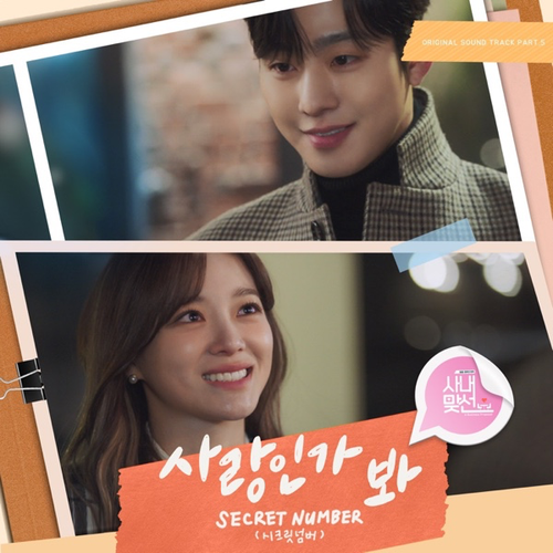 SECRET NUMBER Love, Maybe (A Business Proposal Original Soundtrack, Pt. 5) Single.png