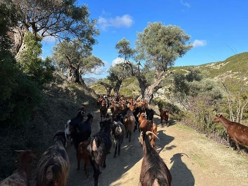 447428875 862581252576489 5746240461413471979 n.jpg?stp=dst jpg s600x600& nc cat=108&ccb=1 7& nc sid.jpg