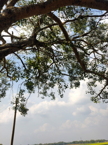 ppv3357535841987570012fe6ef4bd a92d 4c6a 9695 fa250eaf466e.jpg